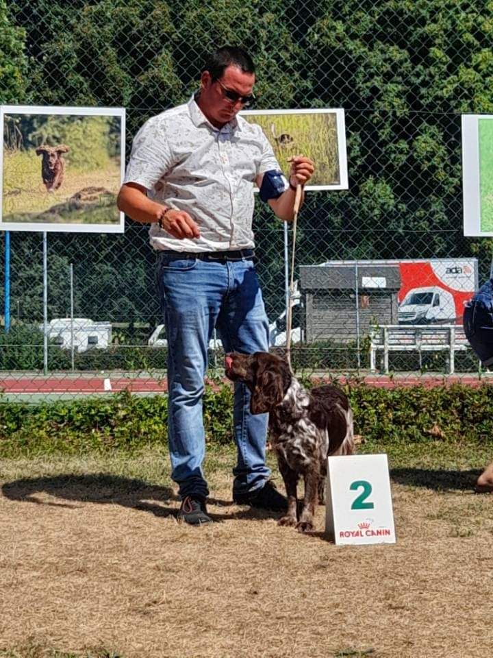 Les Chien d'Oysel allemand de l'affixe Des sources sacrees