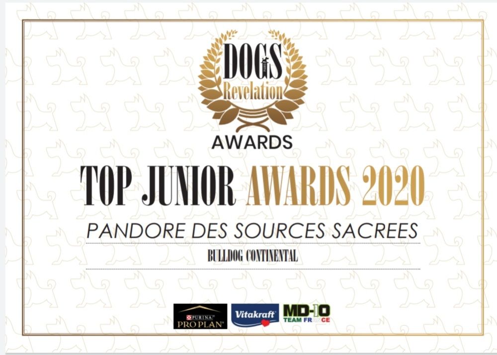 Des sources sacrees - Top junior award 2020 