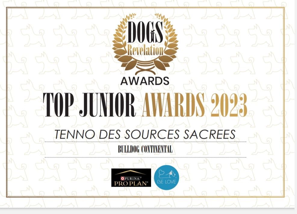 Des sources sacrees - Top junior awards 2023