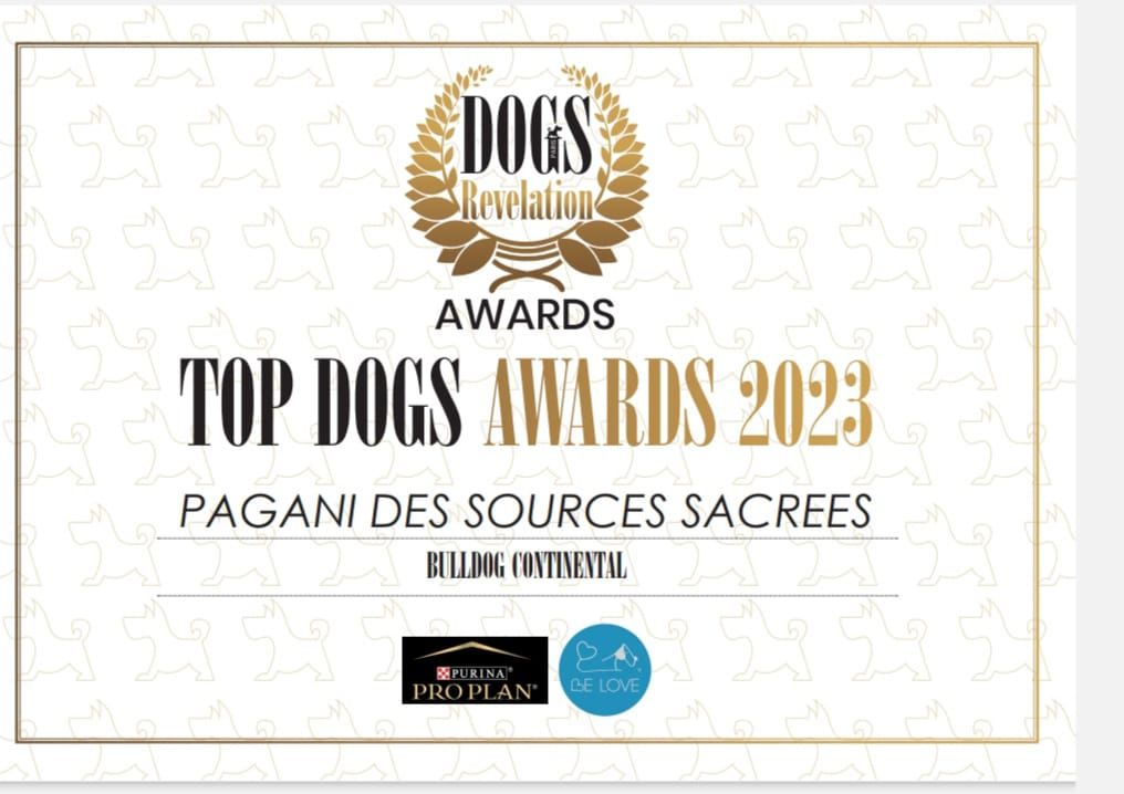 Des sources sacrees - Top dogs awards 2023