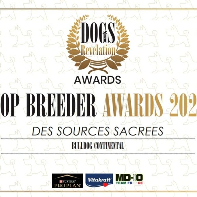 Des sources sacrees - Top breeder award 2020