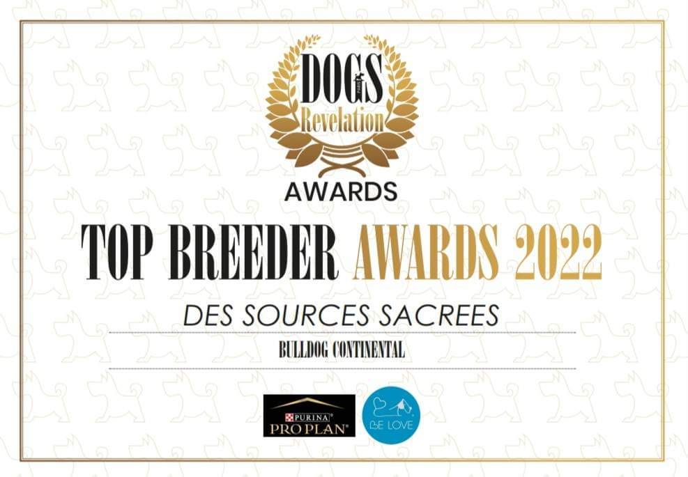 Des sources sacrees - Top Breeder 2022 dog révélation award 