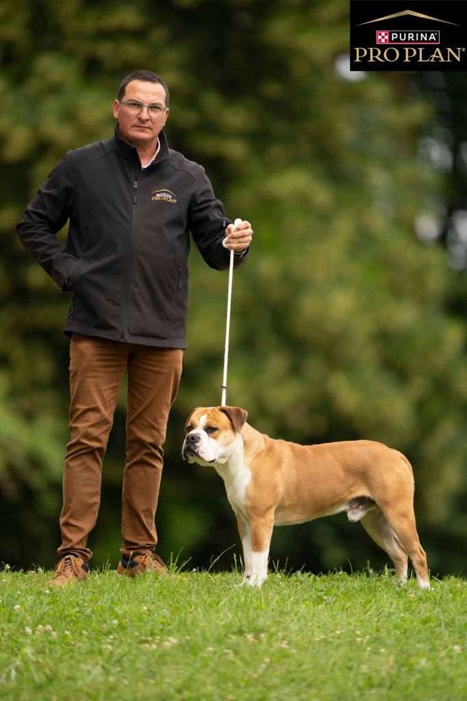 Truman de la Féerie de l'Hermine