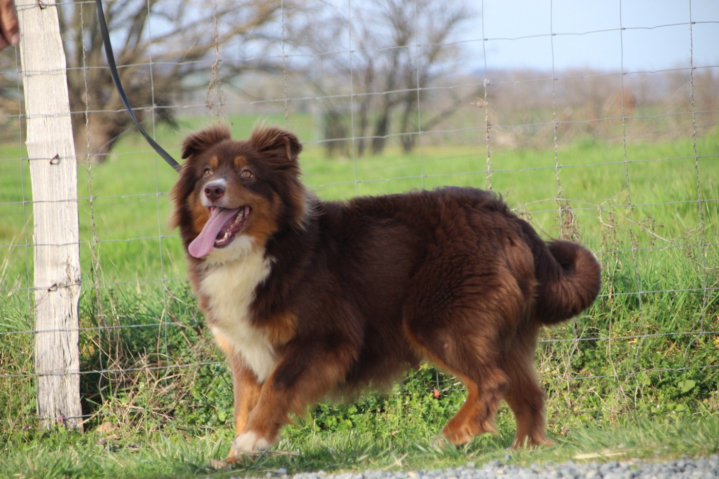 Summer Des sources sacrees