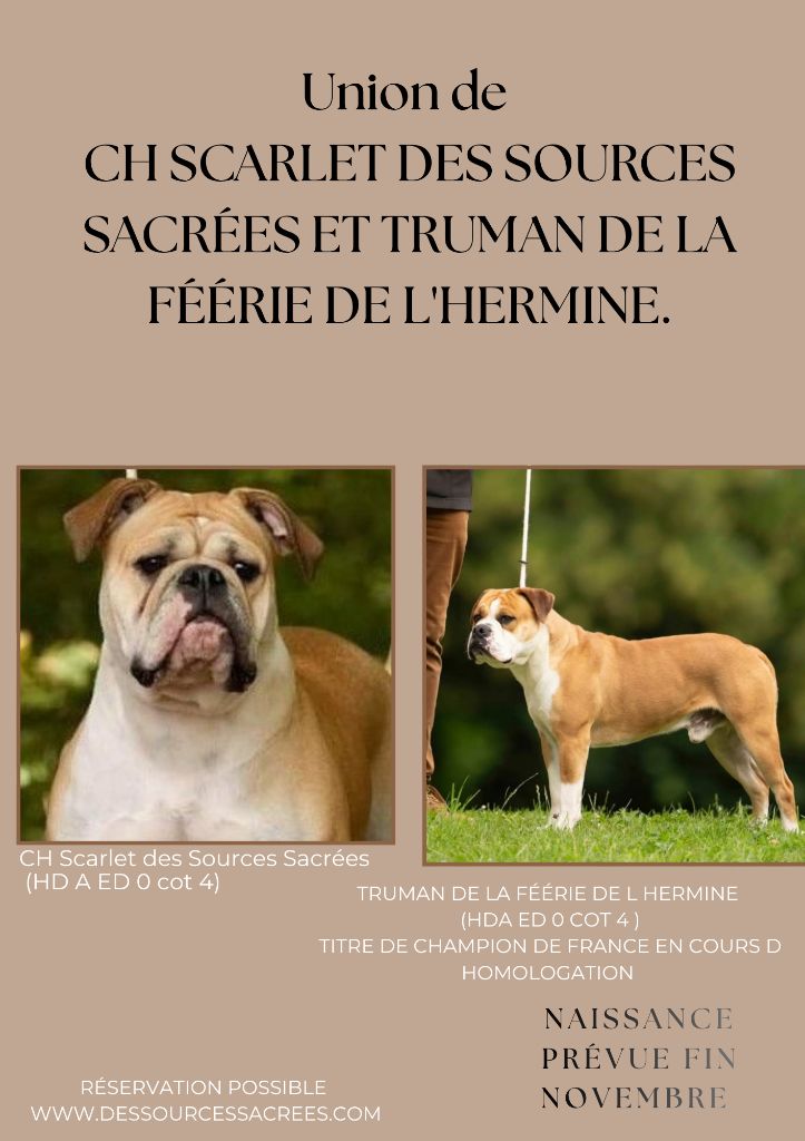 Futurs Bébés aux Sources Sacrées 