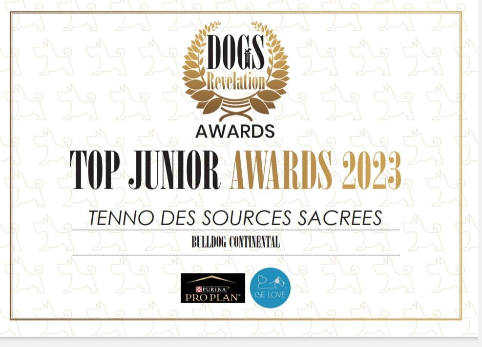 Top junior awards 2023